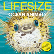 Lifesize Ocean Animals by Sophy Henn
